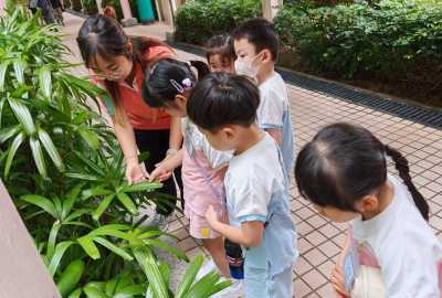 WhatsApp-Image-2025-08-28-at-11.01.10-1